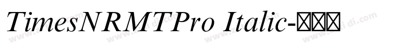 TimesNRMTPro Italic字体转换
